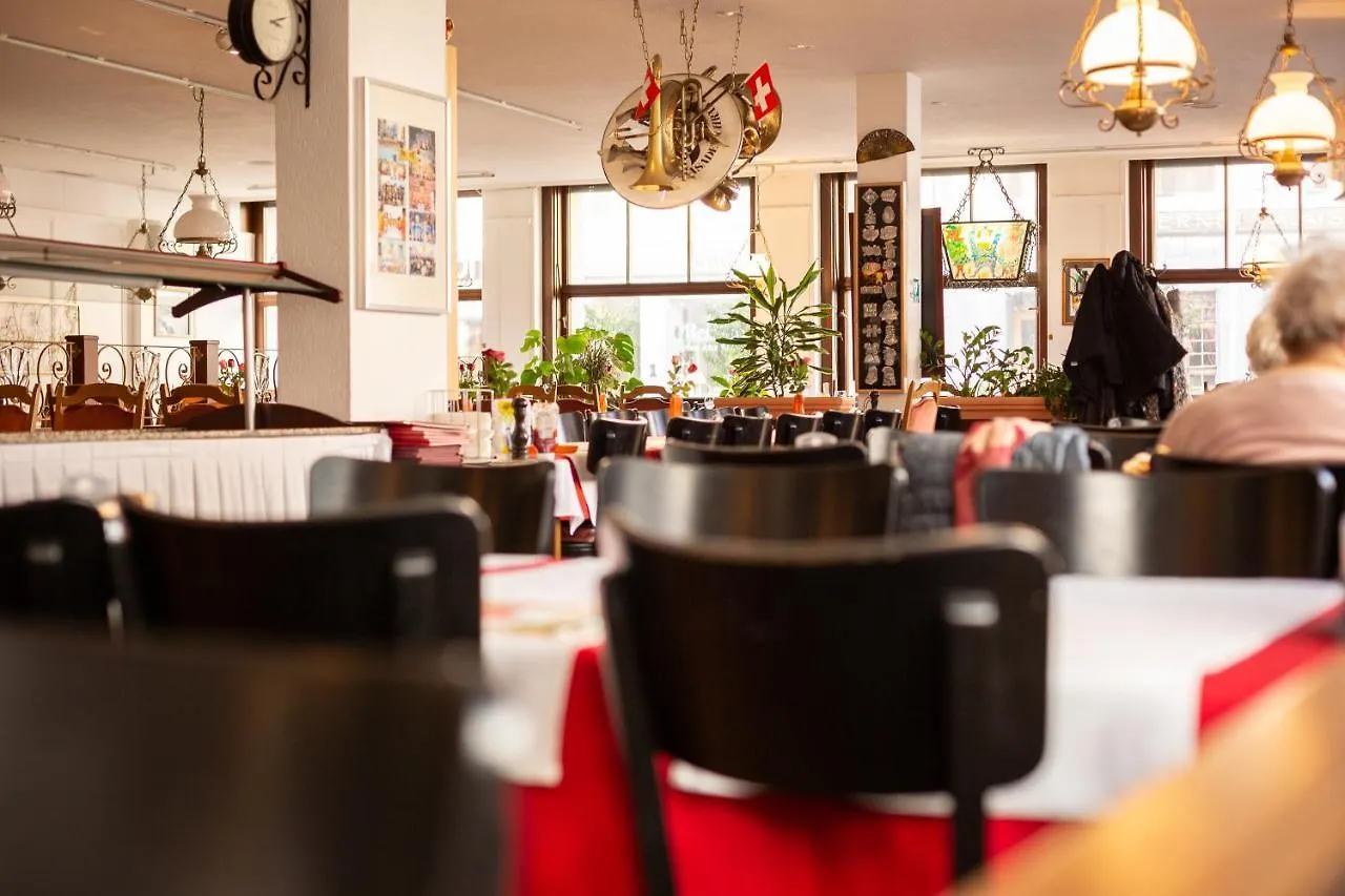 Hotel Rheinfelderhof Bázel